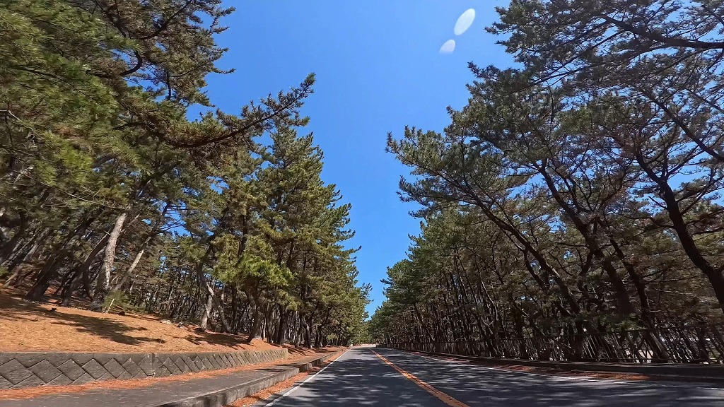 大洗海岸 サンビーチ通り 大洗海岸通り